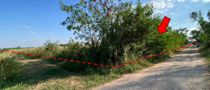 ขายที่ดินเปล่า 9ไร่ 3งาน 60ตารางวา ราคา 1.3 ล้านบาท ในอำเภอแวงน้อย ตำบลก้านเหลือง ก้านเหลือง แวงน้อย R3MFAyyh