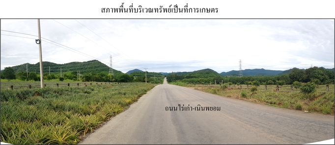 ขายที่ดินเปล่า 85ตารางวา ราคาถูกเพียง 50,000 บาท ในอำเภอสามร้อยยอด ตำบลไร่เก่า ปากน้ำปราณ-เขากะโหลก-สามร้อยยอด 1SWDEP8t