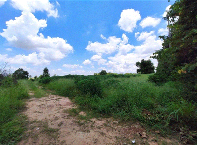 ขายที่ดิน 5 ไร่ ในโครงการตาดโตน ราคา 2.75 ล้านบาท ในอำเภอโนนสะอาด ตำบลโคกกลาง โคกกลาง โนนสะอาด 2srEnI55