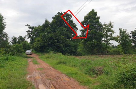 ขายที่ดินเปล่า 1ไร่ 3งาน 67.6ตารางวา ราคาถูกเพียง 849,000 บาท ในอำเภอบ้านฝาง ตำบลบ้านฝาง บ้านฝาง บ้านฝาง vgbGss4q