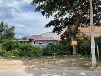 ขายที่ดินเปล่า 99ตารางวา ราคา 5.2 ล้านบาท ในอำเภอหัวหิน ตำบลหัวหิน(บางควาย) หัวหิน xcDcruWR