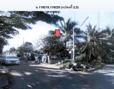 ขายบ้านเดี่ยว ราคา ราคา 2.0 ล้านบาท ในอำเภอบางละมุง