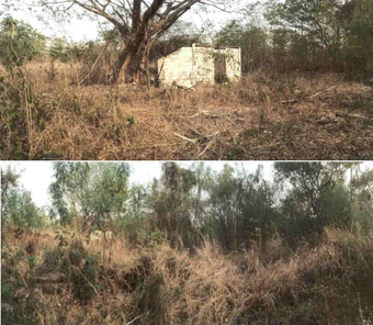 ขายที่ดินเปล่า 1งาน 50ตารางวา ราคาถูกเพียง 297,000 บาท ในอำเภอน้ำพอง ตำบลกุดน้ำใส กุดน้ำใส น้ำพอง farZSct0